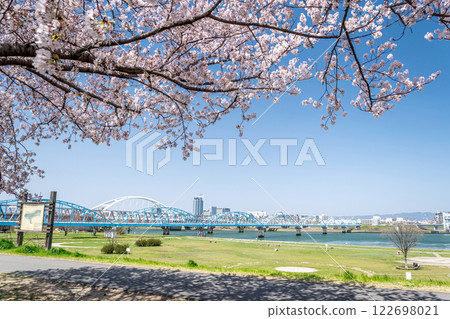 長良地區淀川河畔公園春季櫻花盛開 長良地區淀川河畔公園春季櫻花盛開 122698021