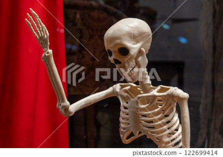 A cheerful skeleton model raising its arm in a gesture, set against a red curtain and dark, moody background. Perfect for anatomy, Halloween A cheerful skeleton model raising its arm in a gesture, set against a red curtain and dark, moody background. Perfect for anatomy, Halloween 122699414