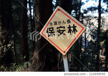 Protected forest (Ichihara City) 122699595
