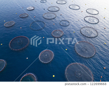 Aerial shot of Aquaculture sea fish Floating farming cages, offshore marine seafood industry in Adriatic Sea. Salmon. Aerial shot of Aquaculture sea fish Floating farming cages, offshore marine seafood industry in Adriatic Sea. Salmon. 122699668