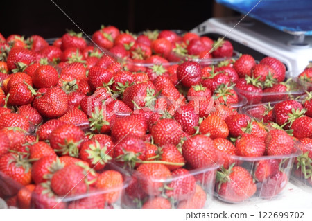 Punnet of strawberries in plastic containers for sale at a local market. 122699702