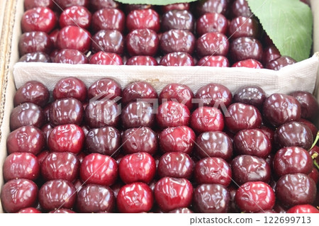 Freshly picked red ripe cherry in carton boxes at market. Freshly picked red ripe cherry in carton boxes at market. 122699713