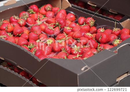 Punnet of strawberries in plastic containers for sale at a local market. 122699721