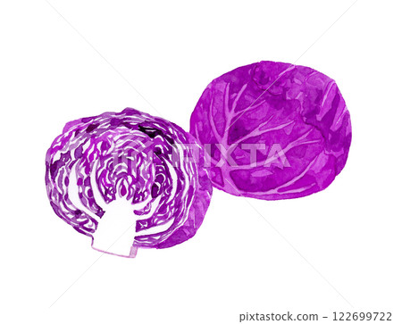 Red cabbage (purple cabbage) cut in half. Hand-drawn watercolor illustration of fresh vegetables. 122699722