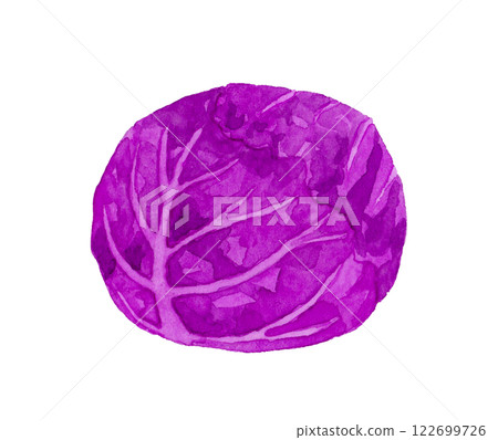紅甘藍(紫甘藍)新鮮蔬菜手繪水彩插畫素材 紅甘藍(紫甘藍)新鮮蔬菜手繪水彩插畫素材 122699726