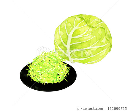 切絲高麗菜-手繪水彩插圖的新鮮蔬菜 122699735