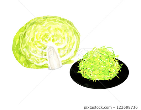 切絲高麗菜-手繪水彩插圖的新鮮蔬菜 122699736