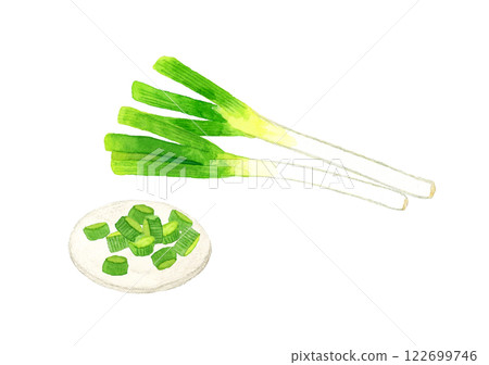 Spring onion (condiment) Hand-drawn watercolor illustration of fresh vegetables Spring onion (condiment) Hand-drawn watercolor illustration of fresh vegetables 122699746