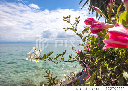 Lake Garda with flowers in foregroound at sunny day. 122700311