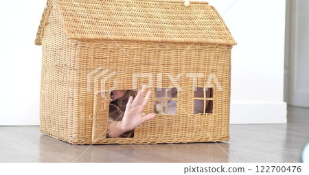 Girl waves from a generic wicker doll house Girl waves from a generic wicker doll house 122700476