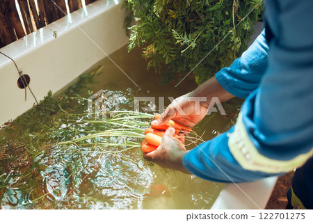 Farming, vegetables and hands cleaning soil from raw produce from nature for market or store. Field worker washing organic grocery products from garden for health customers lifestyle shop. 122701275