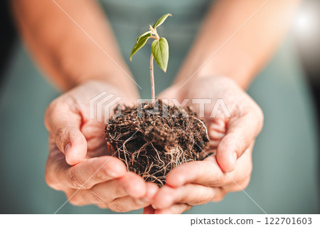 Business person holding seed plant, soil growth in hands for environmental awareness or sustainable development in eco friendly, green company. Organic small tree growth growing in hand for Earth Day Business person holding seed plant, soil growth in hands for environmental awareness or sustainable development in eco friendly, green company. Organic small tree growth growing in hand for Earth Day 122701603