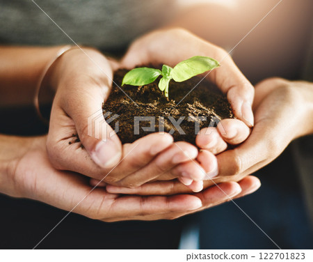 Conservation, growth and teamwork support, hands of corporate worker holding plant, leaf or flower in soil. Nature community and work friends showing development and sustainability in green business 122701823