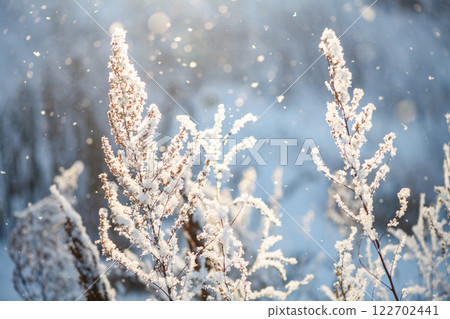 Sunlight shines through falling snow and illuminates frozen plants covered in ice crystals on a cold winter day, creating a magical and serene scene Sunlight shines through falling snow and illuminates frozen plants covered in ice crystals on a cold winter day, creating a magical and serene scene 122702441