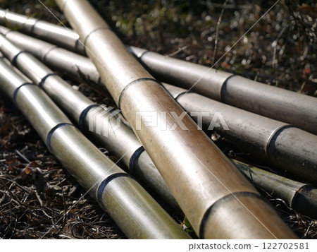 bamboo bamboo 122702581
