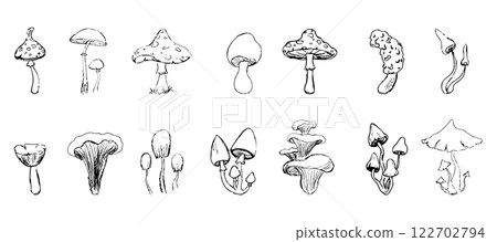 Mushroom sketch doodle drawing, fantasy forest line plant. Set botanical hand drawn mushrooms. Tattoo sign Linear. 122702794