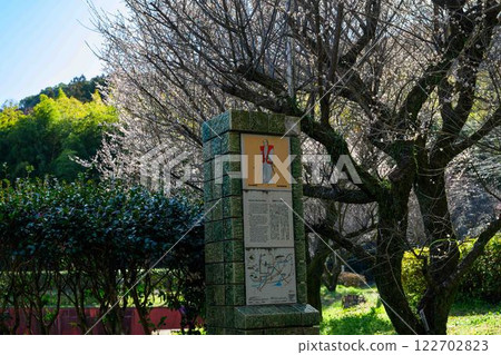 The main gate of Taniozaki Plum Park (Kumamoto City) is beautiful when the plum blossoms bloom. The main gate of Taniozaki Plum Park (Kumamoto City) is beautiful when the plum blossoms bloom. 122702823
