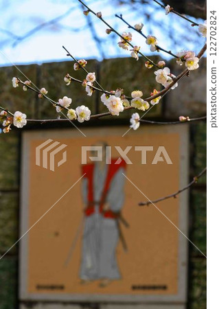 Plum blossoms at the main gate: Taniozaki Plum Grove Park (Kumamoto City) is beautiful in the plum blossom season. 122702824