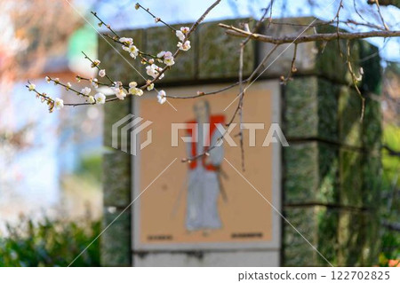 Plum blossoms at the main gate: Taniozaki Plum Grove Park (Kumamoto City) is beautiful in the plum blossom season. Plum blossoms at the main gate: Taniozaki Plum Grove Park (Kumamoto City) is beautiful in the plum blossom season. 122702825