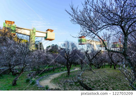 (View from Plum Grove Park) Taniozaki Plum Grove Park (Kumamoto City) shines in the season when beautiful plum blossoms bloom. (View from Plum Grove Park) Taniozaki Plum Grove Park (Kumamoto City) shines in the season when beautiful plum blossoms bloom. 122703209
