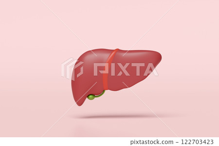 3d realistic human liver isolated on pink background. liver, gallbladder structure, organs concept, 3d illustration render 3d realistic human liver isolated on pink background. liver, gallbladder structure, organs concept, 3d illustration render 122703423