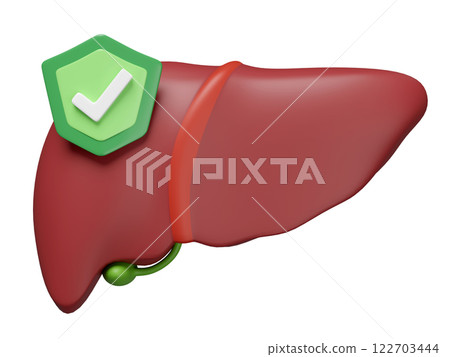 3d realistic human liver with shield,check mark isolated. liver care prevention treatment concept, 3d illustration render 122703444