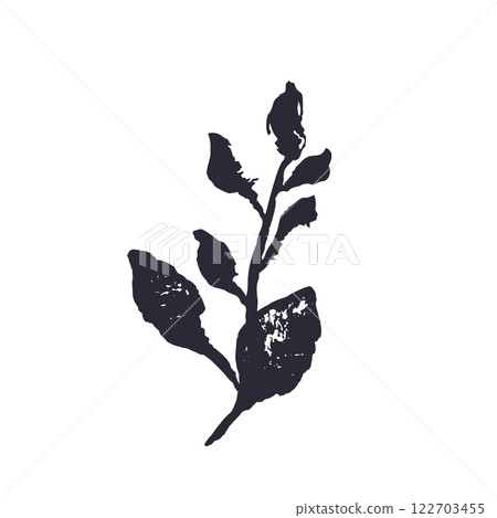 Black and white minimal rustic inky leaf silhouette Black and white minimal rustic inky leaf silhouette 122703455
