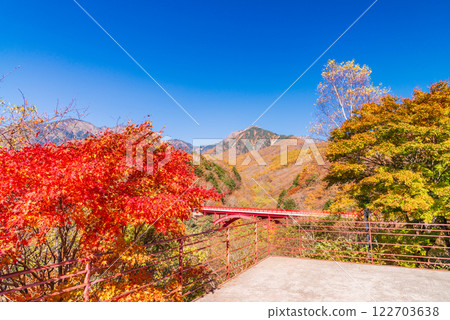 [Yamanashi Prefecture] Beautiful autumn foliage at Higashizawa Ohashi Observatory in Kiyosato 122703638