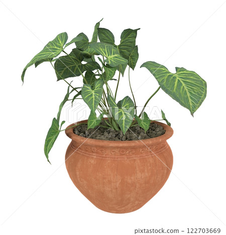 Potted plant showcasing vibrant green leaves in a clay container Potted plant showcasing vibrant green leaves in a clay container 122703669