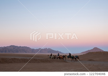 A caravan with camels goes through the desert 122704046