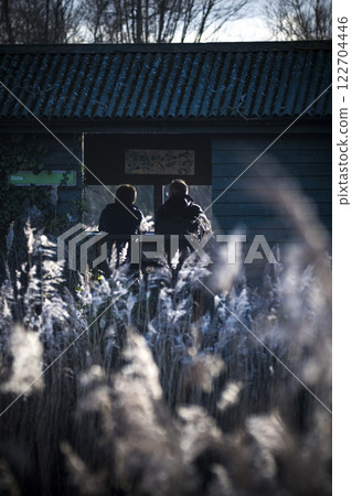 Birdwatching from hide surrounded by reed bed 122704446