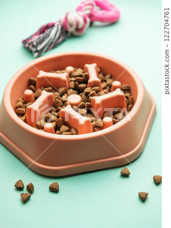 Innovative slow feeder bowl for dogs promoting healthy eating Innovative slow feeder bowl for dogs promoting healthy eating 122704761