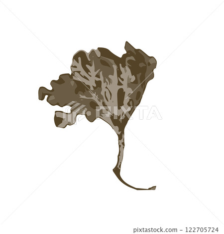 Silhouette of dry brown lichen. Boho minimalist floral element 122705724