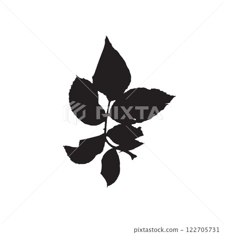 Rough edges dried rose leaf black silhouette 122705731