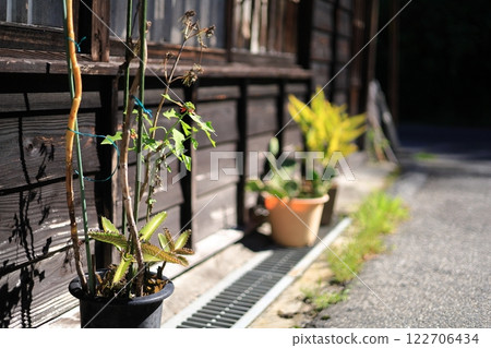 flower pot  122706434