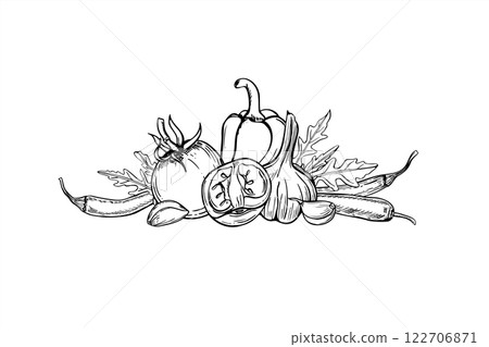 Monochrome vegetables for traditional Mexican dishes vector illustration painted by black inks. Tomatoes, pepper, garlic, arugula leaves, jalapeno slices, chili peppers realistic graphic line sketch. Monochrome vegetables for traditional Mexican dishes vector illustration painted by black inks. Tomatoes, pepper, garlic, arugula leaves, jalapeno slices, chili peppers realistic graphic line sketch. 122706871