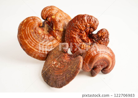 Lingzhi or Reishi mushroom with capsules, organic natural healthy food. 122706983