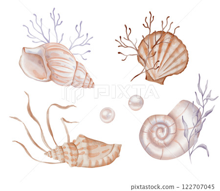 Watercolor set of compositions of Seashell and Seaweed, pearls. hand drawn illustration of pastel color Sea Shell and Algae on isolated background. Undersea element for design in marine vintage style. Watercolor set of compositions of Seashell and Seaweed, pearls. hand drawn illustration of pastel color Sea Shell and Algae on isolated background. Undersea element for design in marine vintage style. 122707045