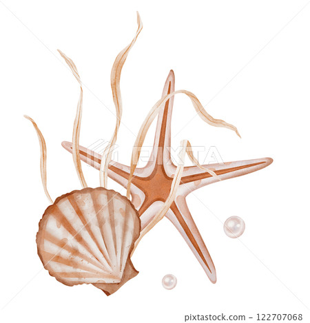 Watercolor composition of Seashell and Seaweed, star. Hand drawn illustration of pastel color Sea Shell and Algae on isolated background. Undersea element for design in marine vintage style. 122707068