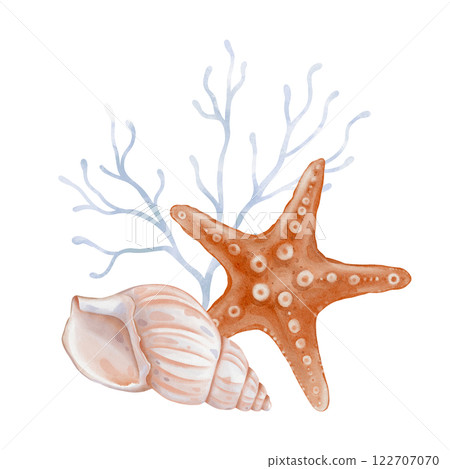 Watercolor composition of Seashell and Seaweed, star. Hand drawn illustration of pastel color Sea Shell and Algae on isolated background. Undersea element for design in marine vintage style. 122707070