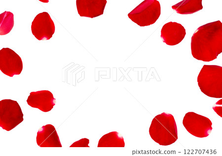 Frame Red rose petals isolated on white background. Decorated for love greetings on valentines day or wedding Isolate on transparent background PNG file Frame Red rose petals isolated on white background. Decorated for love greetings on valentines day or wedding Isolate on transparent background PNG file 122707436