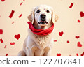 Cute golden retriever with red bow and heart confetti - Valentine's Day and White Day 122707841
