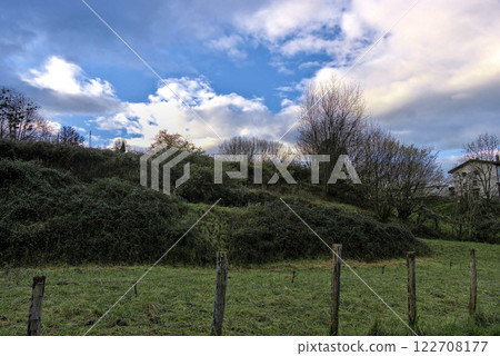 white clouds black branches 122708177