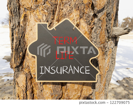 Term life insurance symbol. Concept words Term life insurance on beautiful black yellow blackboard. Beautiful old wood and sand background. Business term life insurance concept. Copy space. 122709075