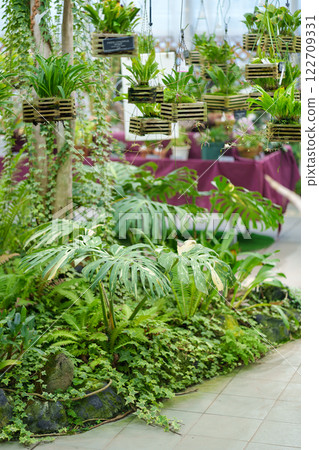 神代植物園大溫室(蘭室)(東京都調布市) 神代植物園大溫室(蘭室)(東京都調布市) 122709331