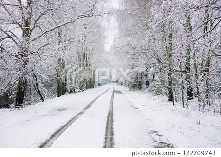 Snow-covered road winding through a tranquil, snowy forest in winter, featuring visible tire tracks on the ground and snow-laden trees lining the peaceful path ahead. Snow-covered road winding through a tranquil, snowy forest in winter, featuring visible tire tracks on the ground and snow-laden trees lining the peaceful path ahead. 122709741