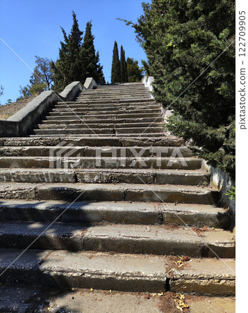 Steps leading upwards between greenery on a sunny day in a tranquil outdoor setting 122709905
