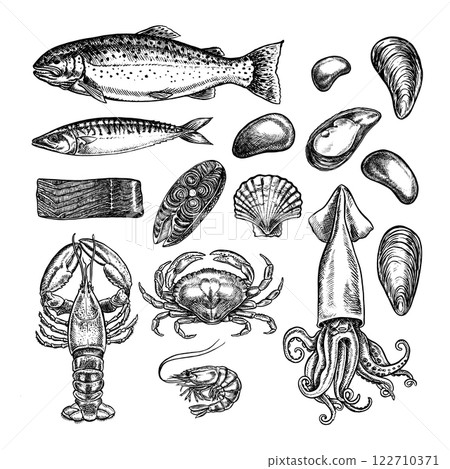 Seafood set, trout, mackerel and squid, crayfish, crabs and shrimps, mussels and marine elements. Vector graphic illustrations made by hand. Black and white images in the form of clip-arts. Isolates. Seafood set, trout, mackerel and squid, crayfish, crabs and shrimps, mussels and marine elements. Vector graphic illustrations made by hand. Black and white images in the form of clip-arts. Isolates. 122710371