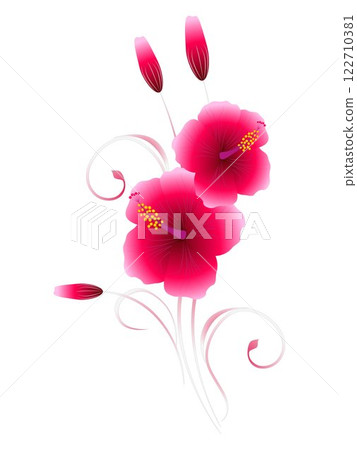 Bouquet of hibiscus on a white background. 122710381