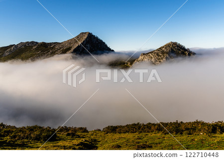 Misty Mountain Peaks Misty Mountain Peaks 122710448